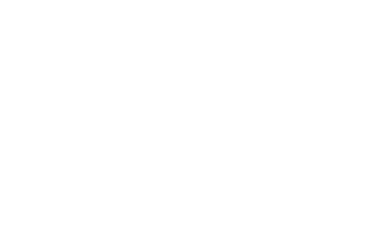 Cyberculture & hacking