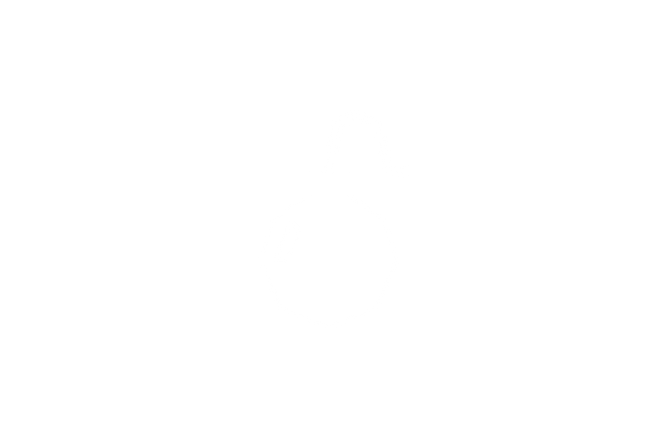 Nouveautés